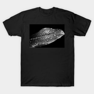 Raindrops on Leaf T-Shirt